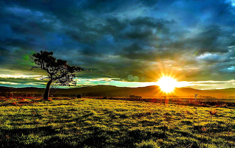SUNSET SCENERY, ultra shoot, tree, nature, sunset, natural, landscape, HD  wallpaper | Peakpx