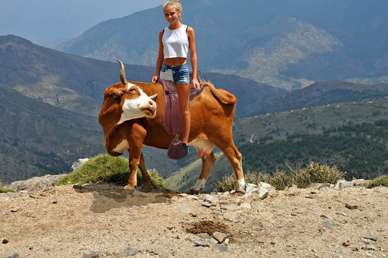 Ride 'em Cowgirl, mountain, cow, cowgirl, bull, HD wallpaper