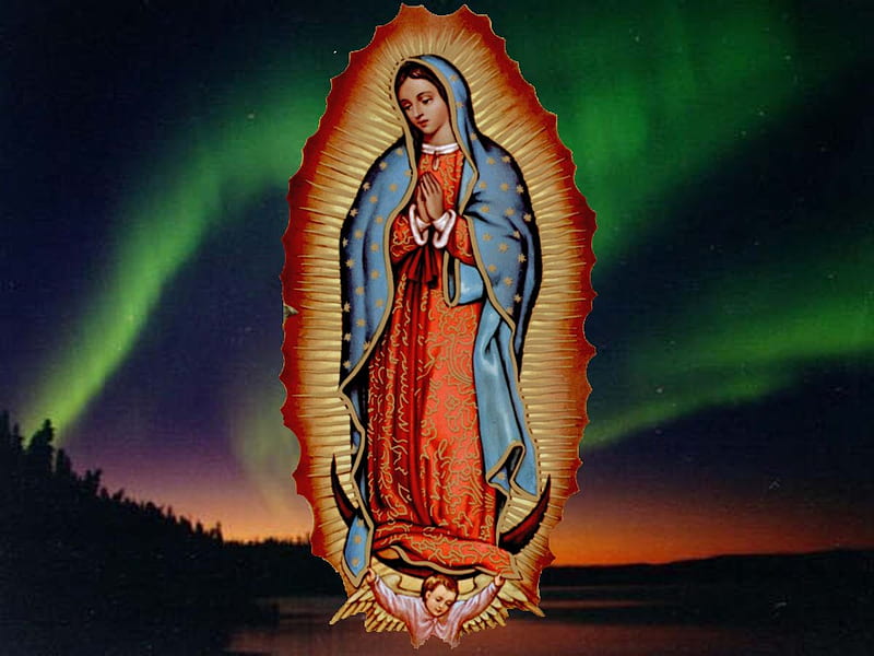 Wallpaper rose Mexico flowers sun flag Madonna Maria Regina Mundi  Saint Mary Virgin of Guadalupe images for desktop section текстуры   download