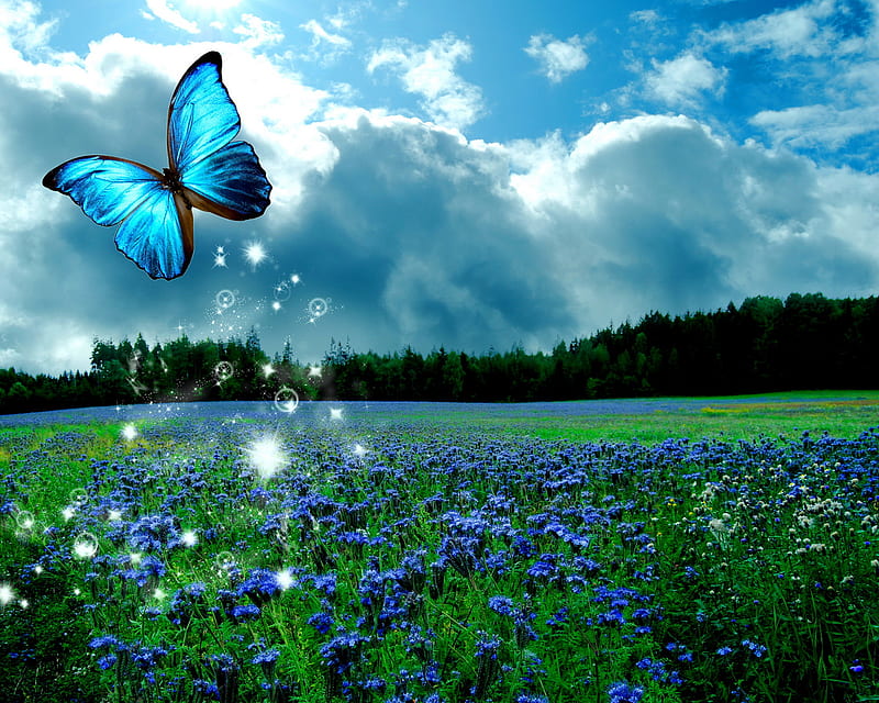Butterfly Glow, flowers, meadow, shine, HD wallpaper