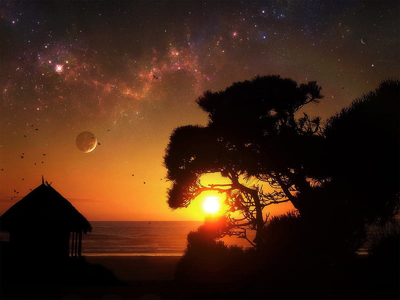 Night Sky, oceans, tree, house, space, nature, sunset, sky, night, HD wallpaper
