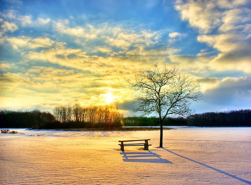 No picnic today, tree, glow, snow, sunset, picnic table, winter, HD wallpaper