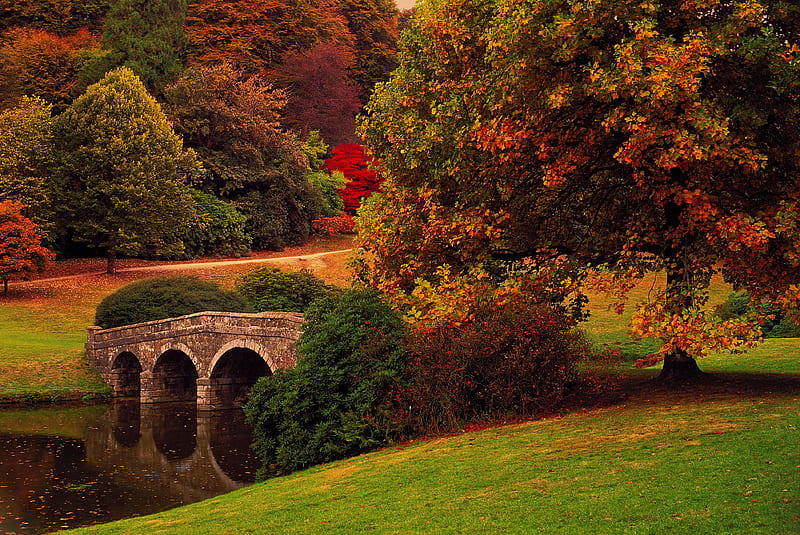 Autumn bridge, autumn, colors, bonito, park, trees, England, foliage, forest, fall, bridge, HD wallpaper