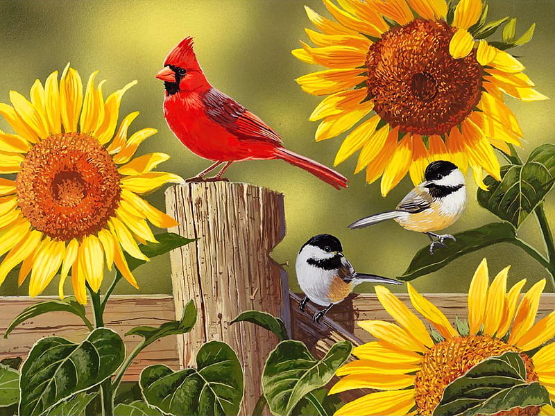 Sunflowers and songbirds, cardinals, art, fence, sunflowers, songbirds, spring, bonito, HD wallpaper