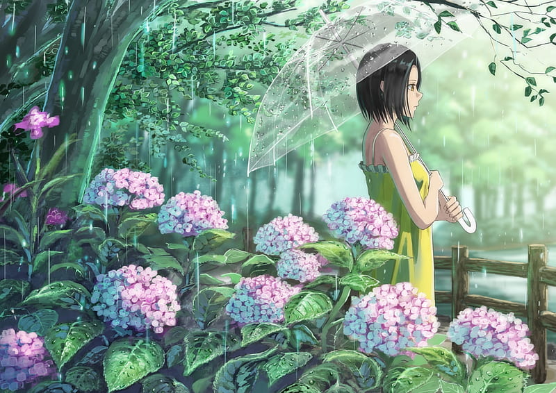 Rainy day, hydrangea, umbrella, manga, tagme, girl, green, anime, flower, garden, rain, pink, HD wallpaper