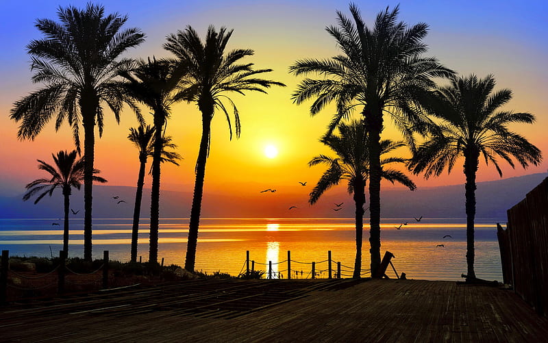 Tropical sunset, beach, fiery, summer, sunset, tropics, reflection, sea,  palms, HD wallpaper | Peakpx