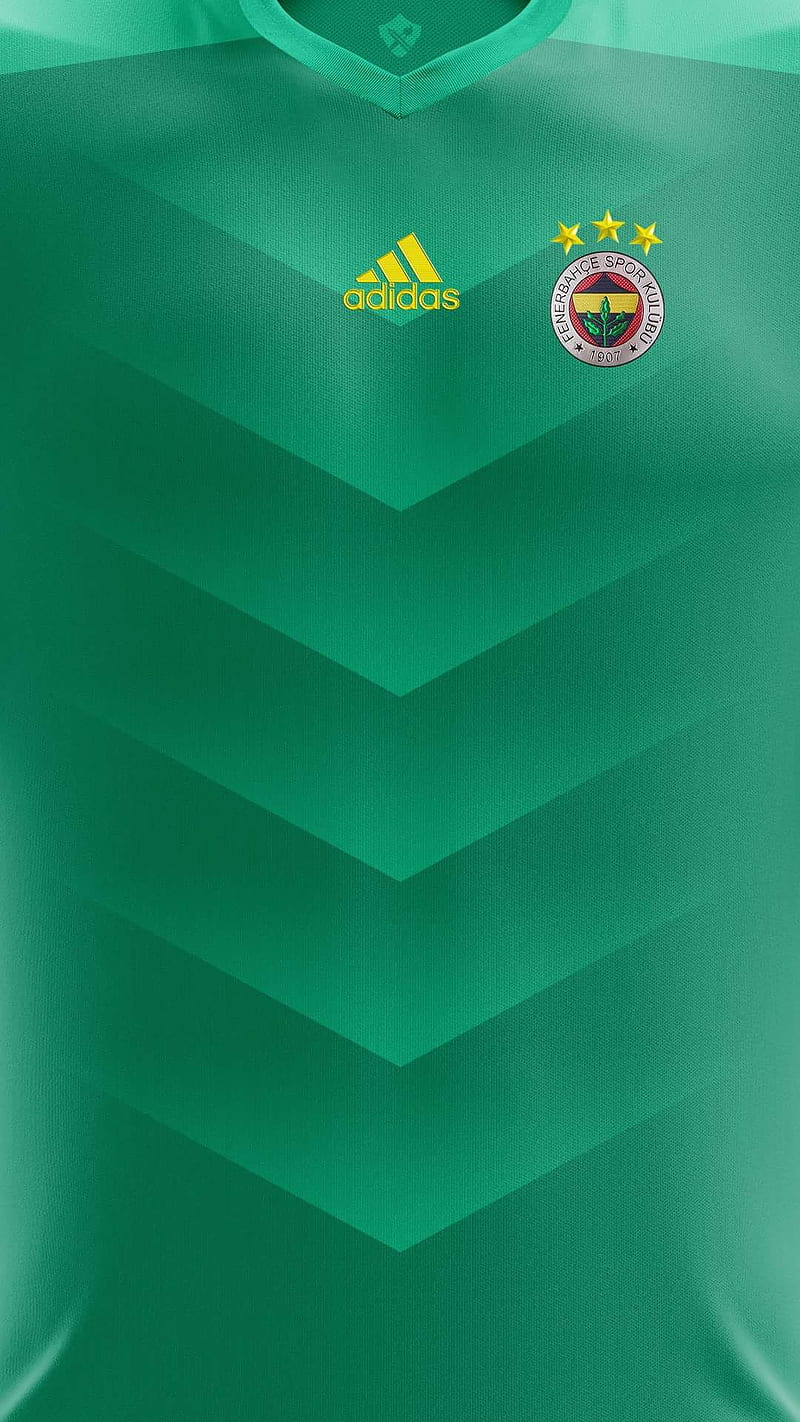 Fenerbahce, forma, yeni sezon, HD phone wallpaper