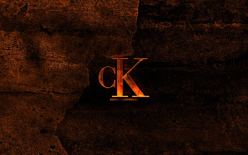 Calvin Klein black logo, creative, metal grid background, Calvin Klein  logo, HD wallpaper | Peakpx