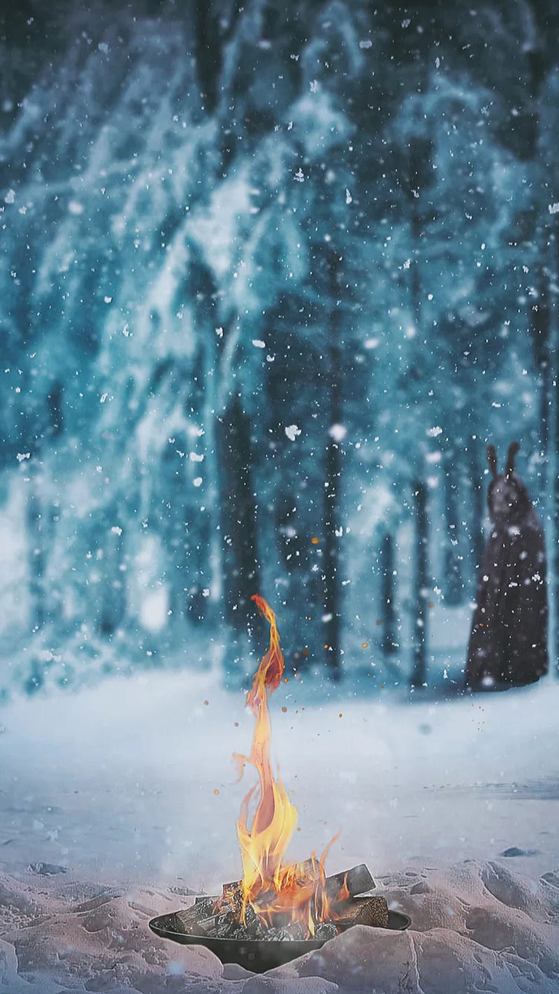 Snowy forest, gorest, snow, winter, fire, HD phone wallpaper