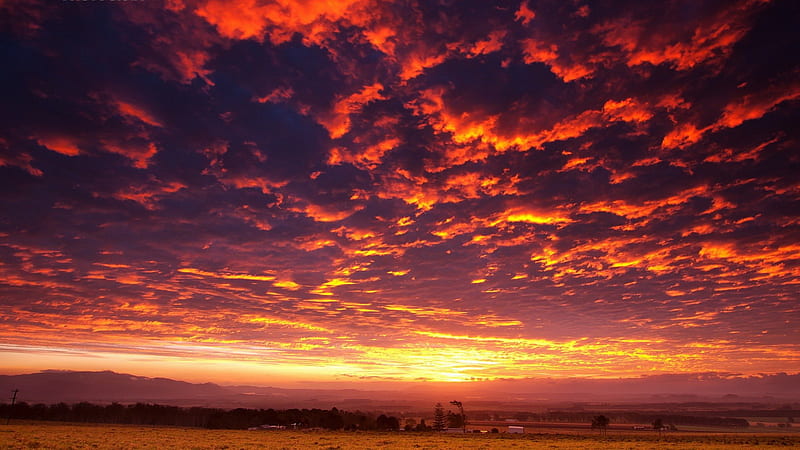 fiery sky at sunset, countryside, sunset, fiery, clouds, HD wallpaper