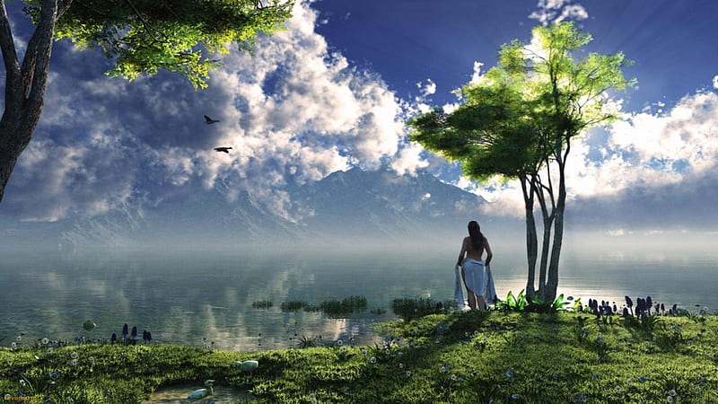 Seul au monde, arbre, femme, seul, eau, HD wallpaper