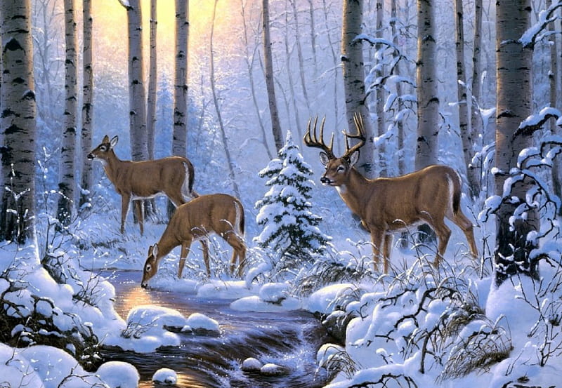 Winter Crossing, does, snow, buck, woods, winter, HD wallpaper