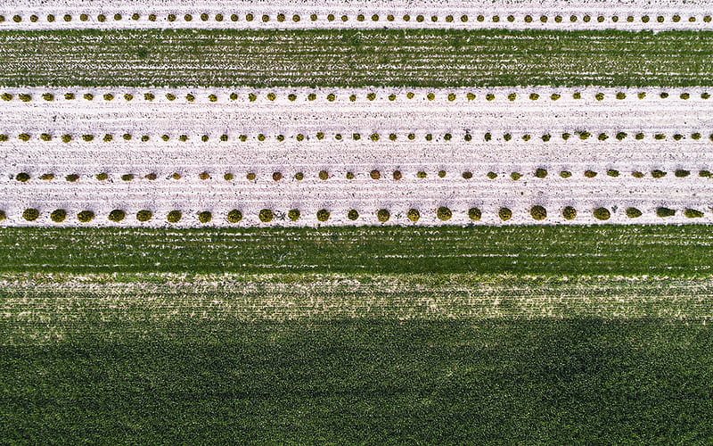 field, nature, green, pattern, background, HD wallpaper