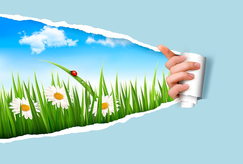 :-), green, grass, flower, hand, paper, daisy, blue, HD wallpaper