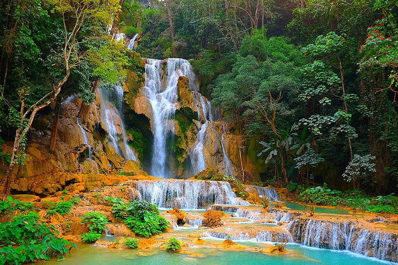 Kuang Si Waterfall, Laos, forest, water, plants, river, trees, HD wallpaper