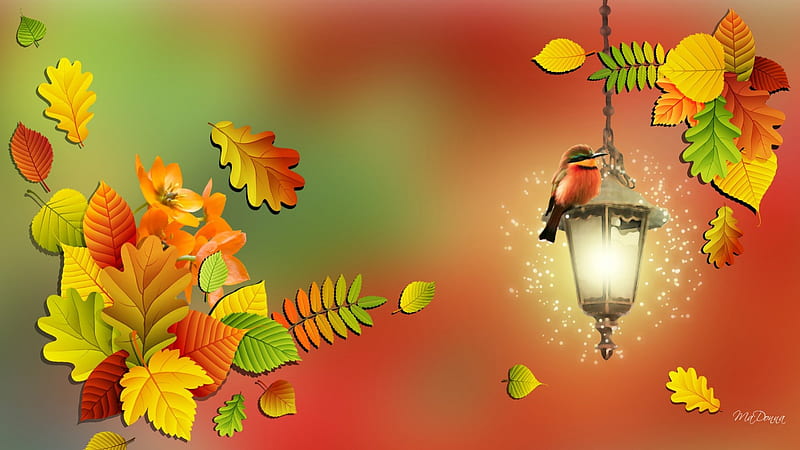 Colorful Season, fall, colorful, autumn, orange, breeze, birch, leaves, gold, green, amber, blowing, flowers, season, light, lamp, maple, wind, sparkles, bird, olive, oak, HD wallpaper