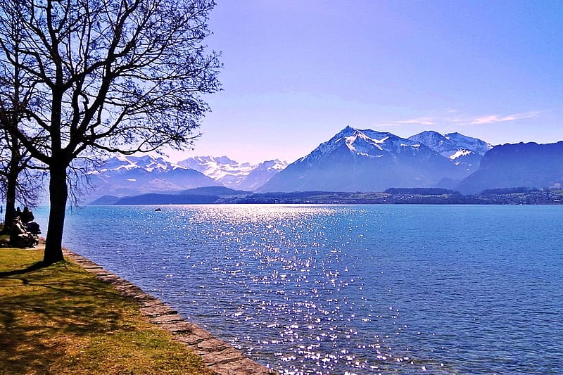 Lake Thun Switzerland, Alpok, Svajc, tajkep, hegy, termeszet, fak, napos, hegyek, Thun lake, HD wallpaper