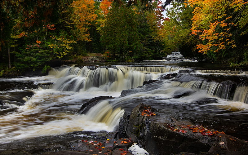 Bond Falls, Ontonagon River, autumn landscape, river, waterfalls, autumn, yellow trees, Upper Peninsula of Michigan, USA, HD wallpaper