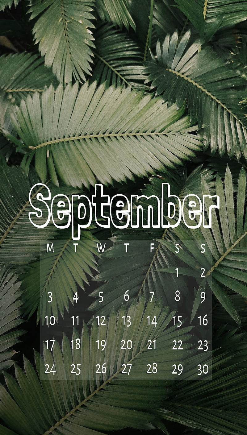 Jungle Sep, cal, calendar, september, zcalsep18, HD phone wallpaper
