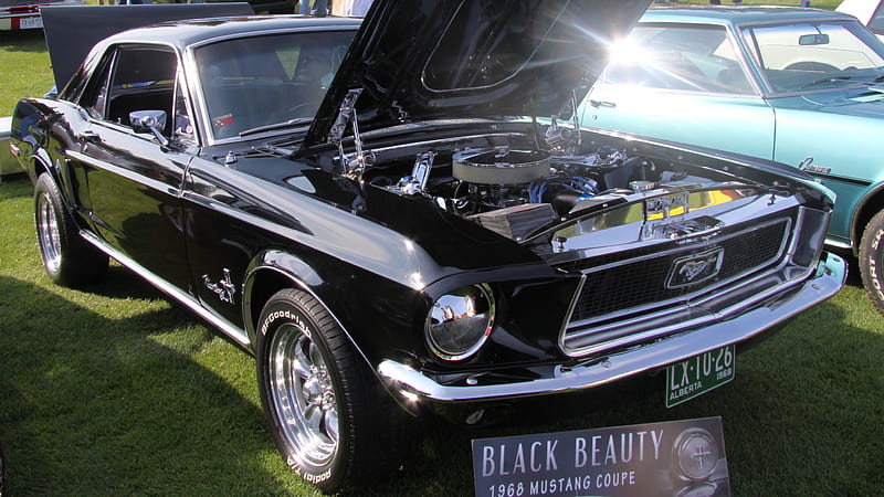 1968 Mustang coupe, mustang, Ford, graphy, engine, black, headlight, HD ...