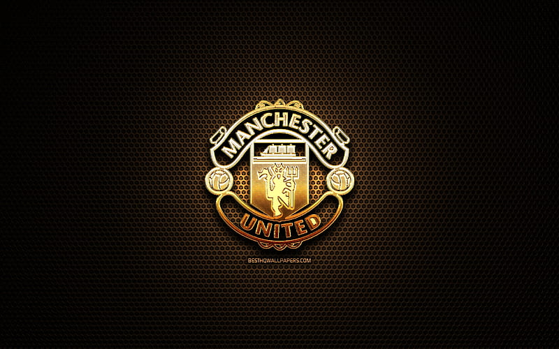 Manchester United FC, glitter logo, Premier League, english football club, metal grid background, Manchester United glitter logo, football, soccer, Manchester United, England, HD wallpaper