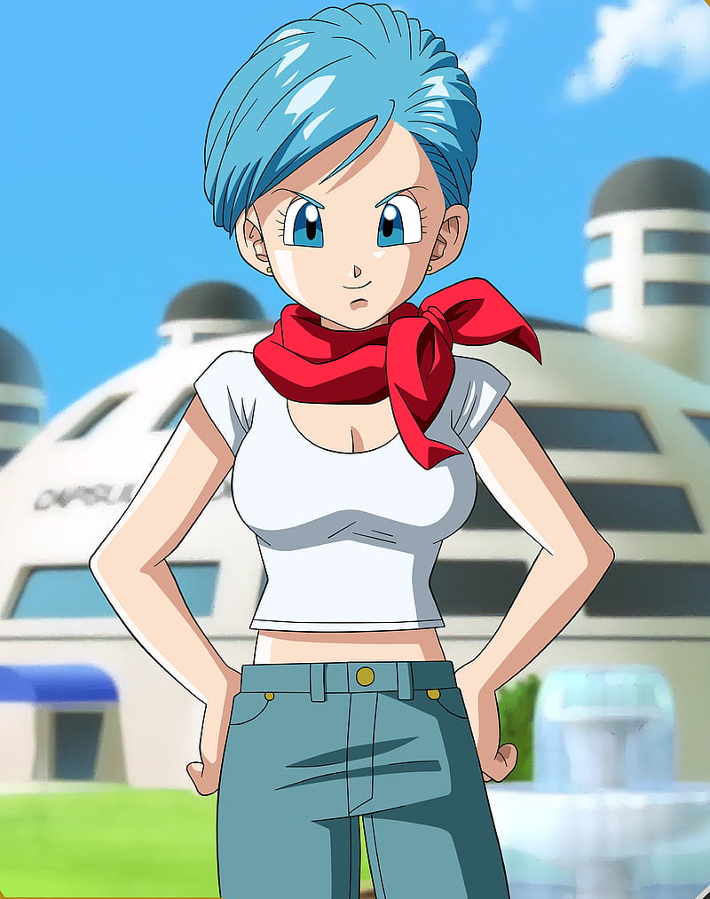 Bulma Wallpaper for mobile phone tablet desktop computer and other  devices HD and 4K wallpapers  Anime dragon ball super Anime dragon ball  Dragon ball tattoo