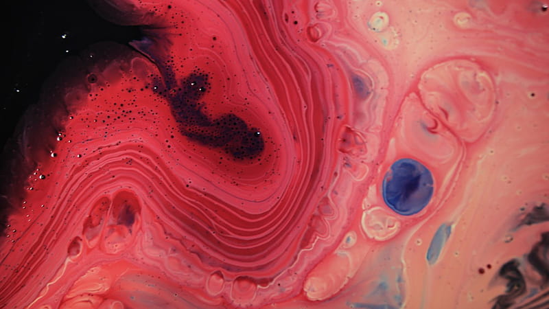 Red Pink Black Paint Stain Abstract, HD wallpaper