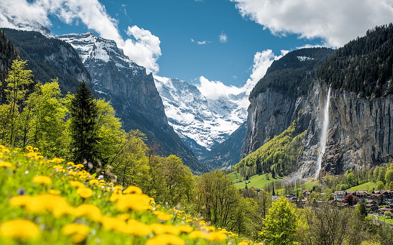 Staubbach Fall, Alps, waterfall, mountain landscape, yellow wildflowers, waterfalls of Switzerland, Europe, Lauterbrunnen, Switzerland, Bernese Highlands, HD wallpaper