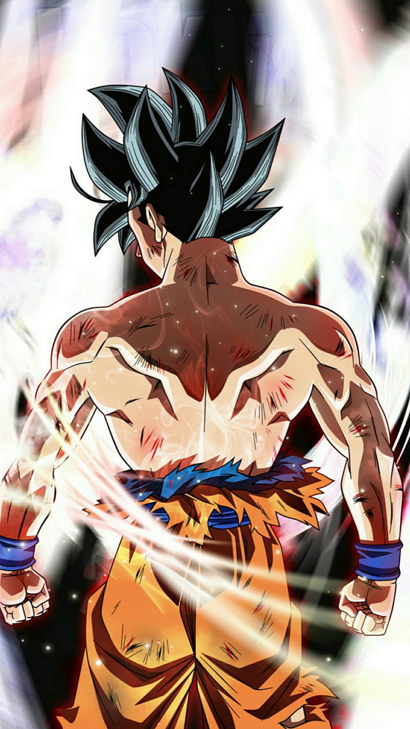 Goku Ultra Instinct Dope Back Pose 3pcs Wall Art Canvas Print — DBZ Store