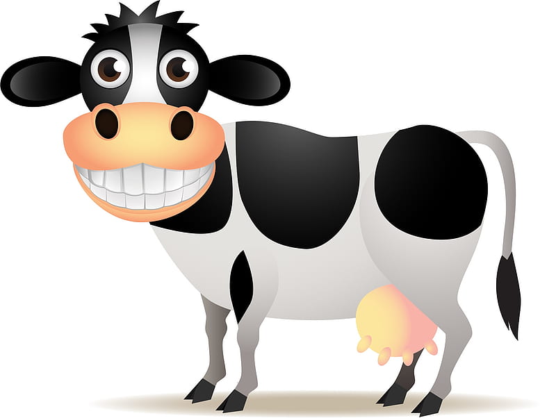 Smiling cow, spot, cow, black, smile, funny, white, animal, HD wallpaper