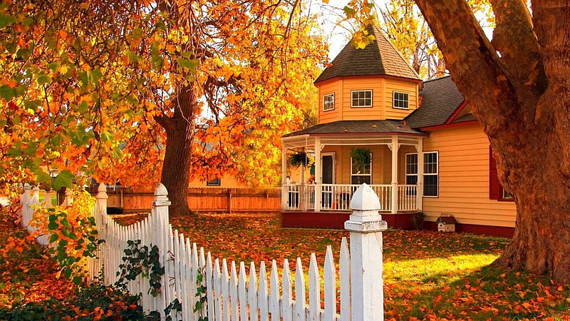 House With White Fence And Autumn Trees Nature, HD wallpaper