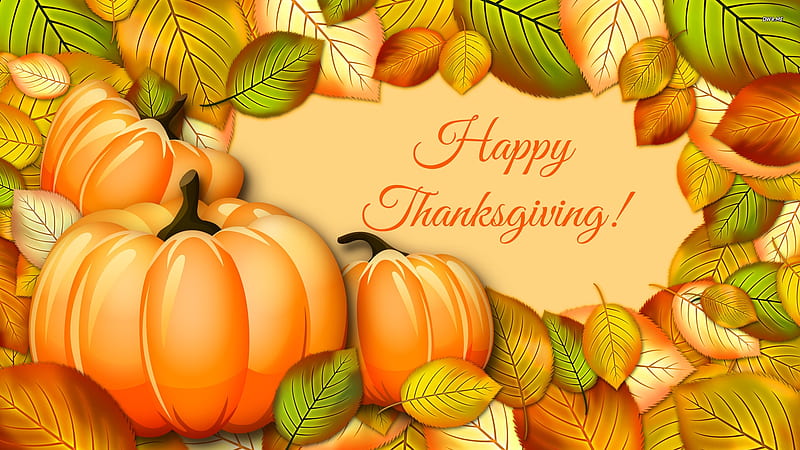Happy Thanksgiving, autumn, holiday, pumpkin, fall, orangr, season, HD  wallpaper | Peakpx