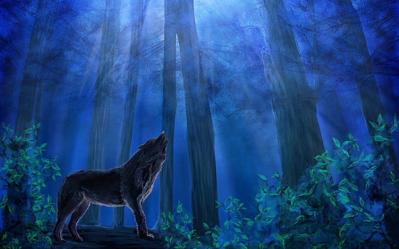 Dark night, predator, wolf, night, wood, HD wallpaper