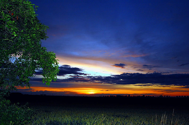 HD wallpaper blue sunset sun orange colors places sunset sky clouds tree beauty nature blue