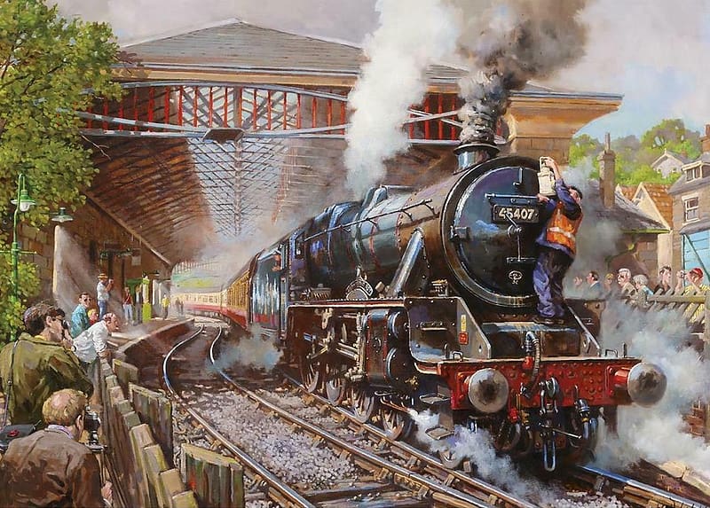 Pickering Station, spectators, train, steam, station, smoke, tracks, HD wallpaper