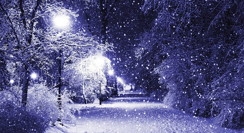 Winter Night, streetlamp, pathway, snow, trees, night, winter, HD wallpaper
