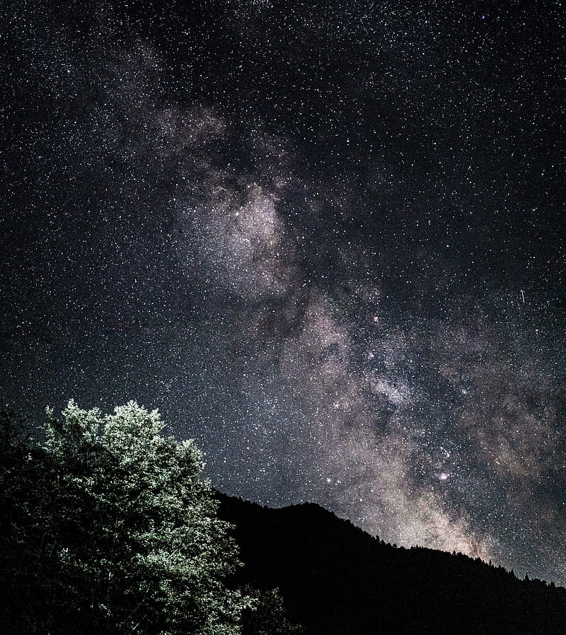 starry sky, nebula, bushes, stars, hills, HD phone wallpaper