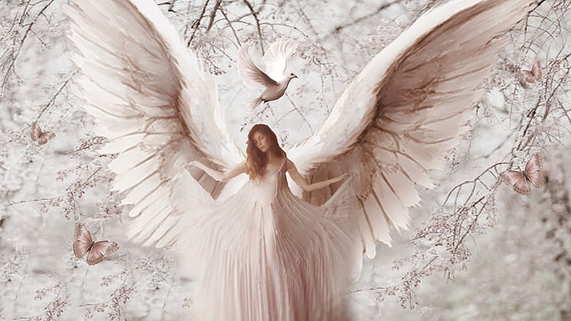 Etheral Pink Angel 1, artistic, pretty, stunning, breathtaking, bonito,  woman, HD wallpaper | Peakpx