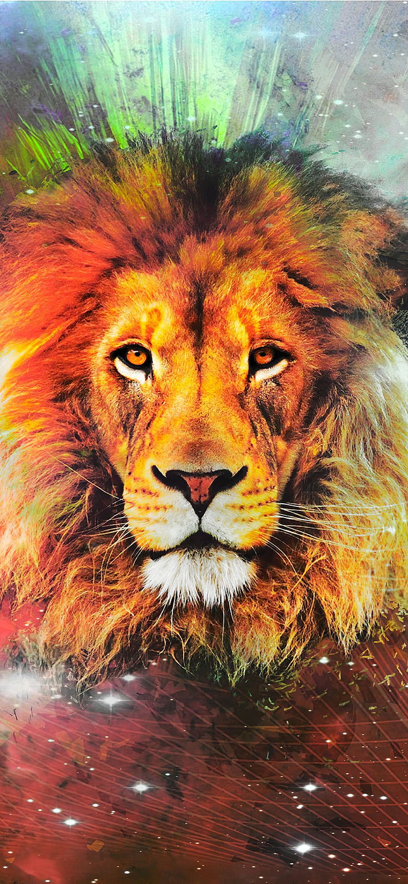 Lion Attitude - Lion Attitude updated their profile picture.