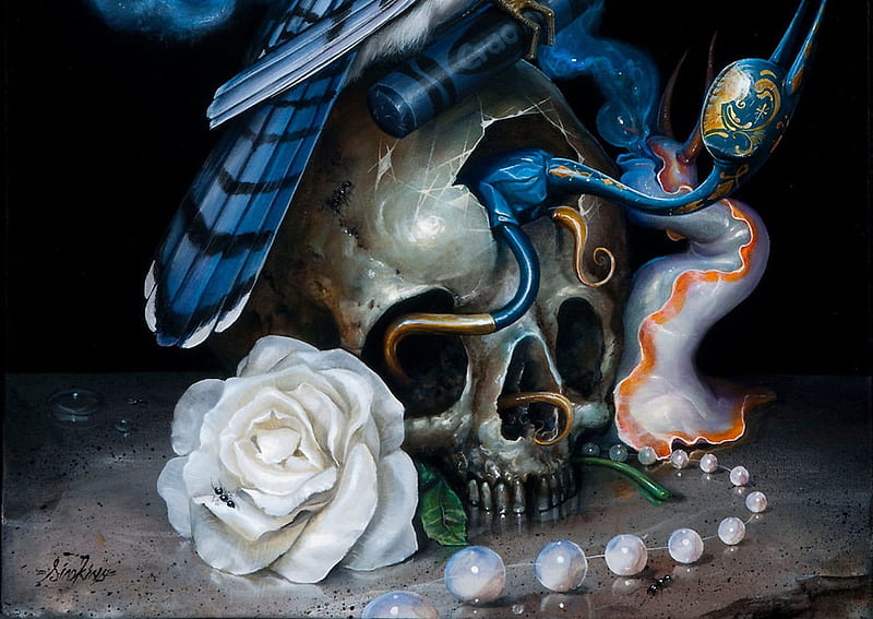:), rose, feather, black, greg simkins, white, blue, art, luminos, fantasy, pearl, skull, HD wallpaper