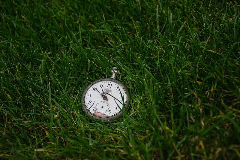 clock, clock face, time, grass, HD wallpaper