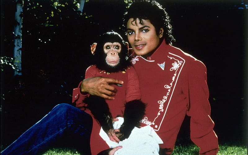 Michael Jackson * For Love4MJ4ever *, monkey, michael jackson, people, man,  singer, HD wallpaper | Peakpx