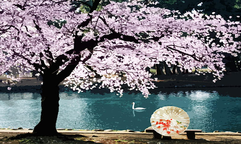 spring fling, graphy, flowers, umbrella, nature, spring, HD wallpaper