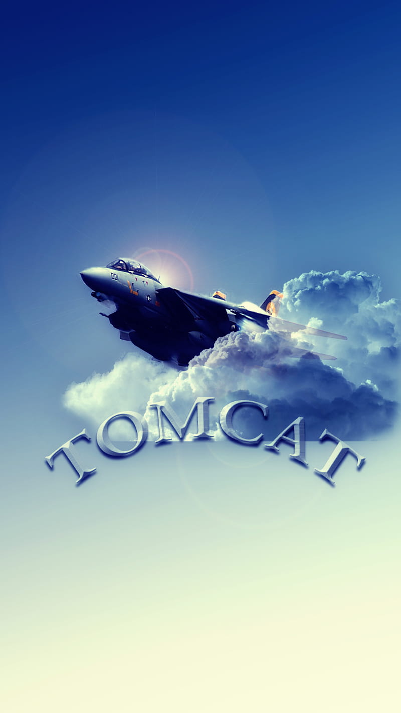 F 14 Tomcat Aircraft Aviation Jet Navy Planes Hd Mobile Wallpaper Peakpx