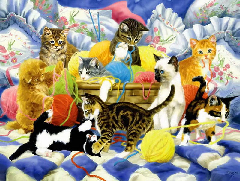Yarn party tonight, playing, fluffy, kittens, fun, adorable, tonight, joy, sweet, cute, yarn, party, kitties, cats, friends, HD wallpaper