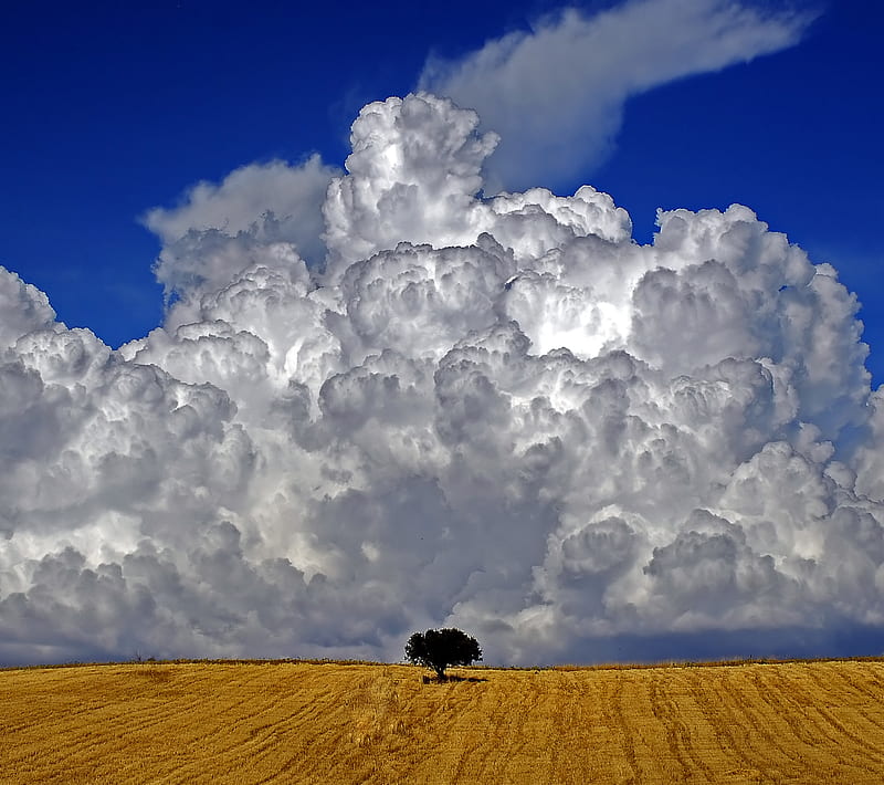 Alone Boy, Heart, Status, cloud, sky, Night, Heartbeat, Lonely