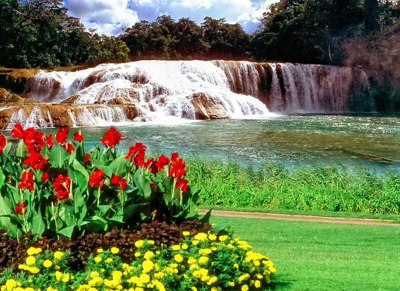 Waterfall in park, rted, colorful, fall, lovely, grass, falling, greenery, bonito, park, nice, water, green, waterfall, flowers, nature, tulips, HD wallpaper