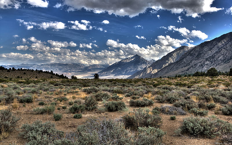 desert, field, sierra nevadas, usa california, Landscape, HD wallpaper