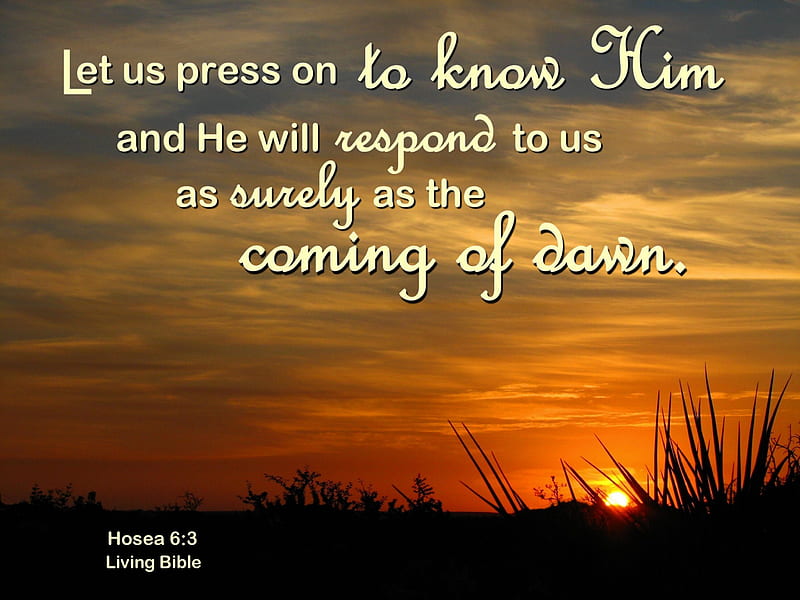 Press On to Know Him, dawn, Bible, sunrise, inspiration, verse, HD wallpaper