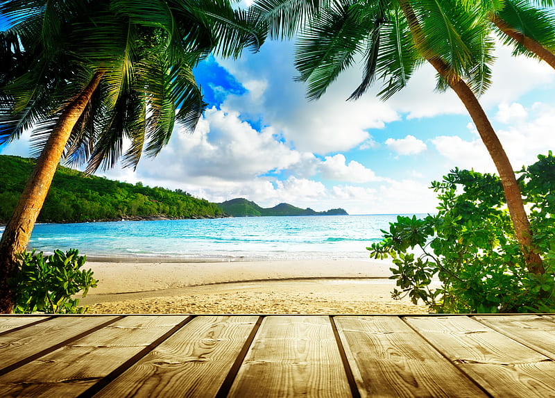 Beach paradise, rest, vacation, ocean, relax, bonito, sky, palms, sea, beach, paradise, summer, exotiv, sands, HD wallpaper